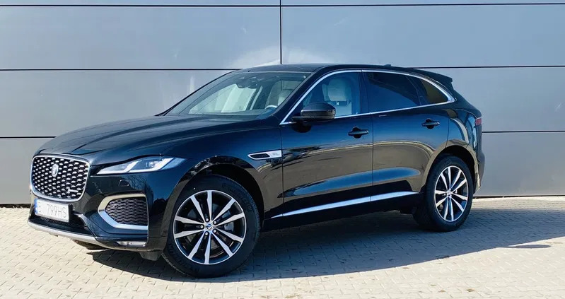 jaguar podlaskie Jaguar F-Pace cena 310000 przebieg: 5000, rok produkcji 2023 z Lublin